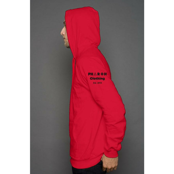 Billionaire Vibes Established pullover hoody - Pharaohathletics